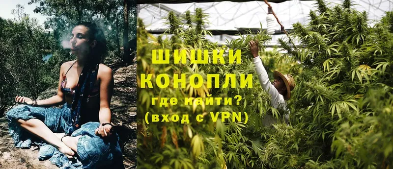 Конопля OG Kush  купить наркотик  Избербаш 